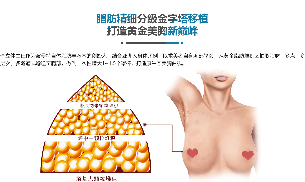 金字塔理论