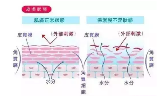 北京美天水光针